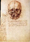 LEONARDO da Vinci, Anatomy of the Schadels